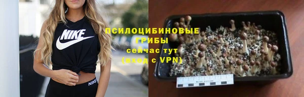 метамфетамин Алексин