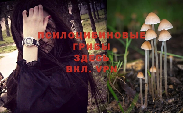 героин Алзамай