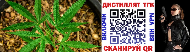 ТГК Wax сколько стоит Волгоград