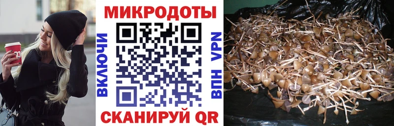 купить   Волгоград  Галлюциногенные грибы ЛСД 